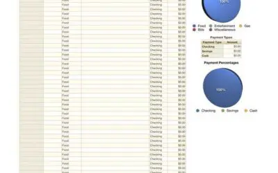 12-Month Expense Tracking Log with Expense Graphs