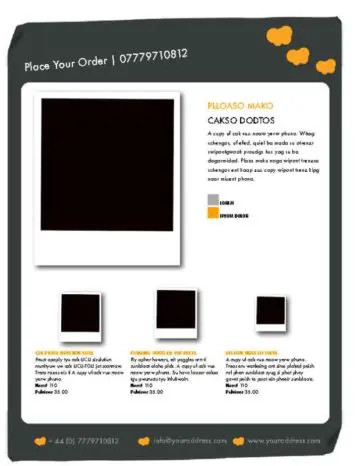 14-Page Black and Orange Catalogue Big Picture
