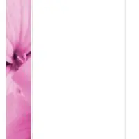 2-Page Pink Hibiscus Photo Stationery