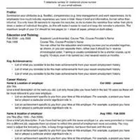 2-Page Wide Margin Resume Page One