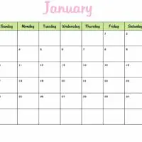 2010 Monthly Calendar in Green and Pink 2010 Monthly Calendar in Green and Pink