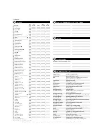 3-Page Dungeons and Dragons Character Sheets Page Two