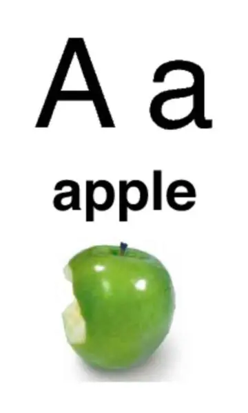 3x5 Alphabet Flashcards with Photos Apple