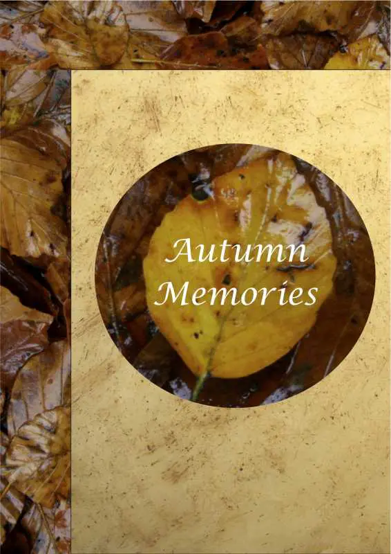 Autumn Accents Poster