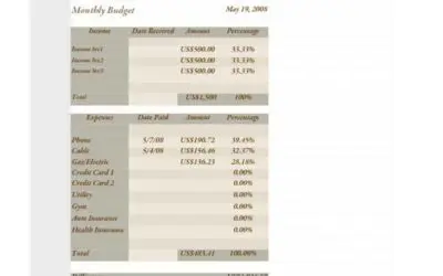 Basic Brown Monthly Budget Worksheet