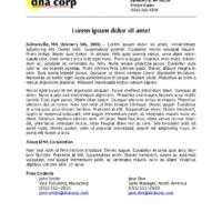 Basic Press Release with Logo