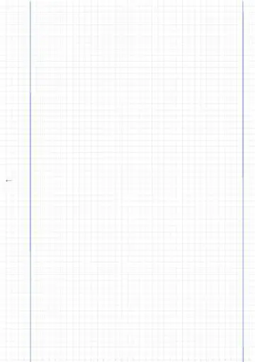 Blank Graphing Paper with Dual Margins Left