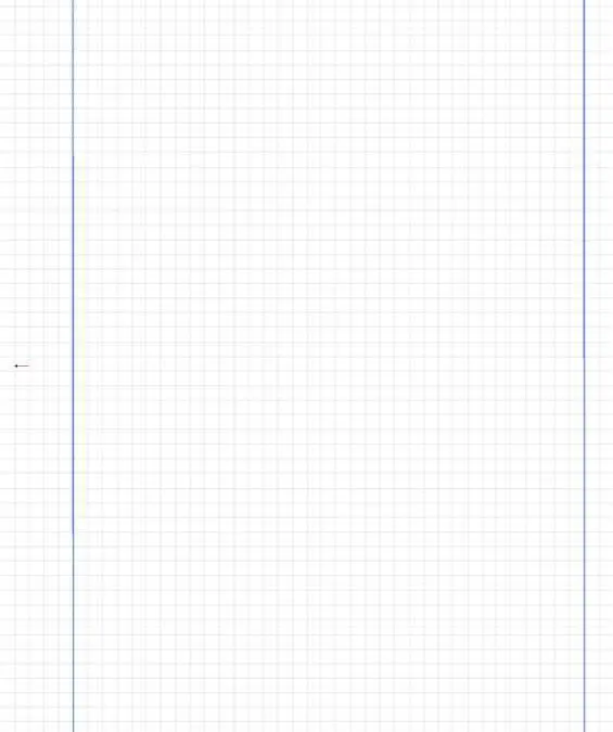 Blank Graphing Paper with Dual Margins Left