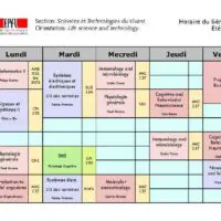 Color-Coded Semester Course Schedule