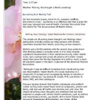 Daily Journal with Pink Hibiscus Accent Page One