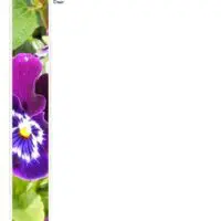 Floral "Happy Easter" Stationery Floral Happy Easter Stationery