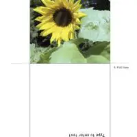 Folded CDDVD Sleeve with Photo Placeholder