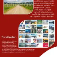 Red and White Professional Flyer