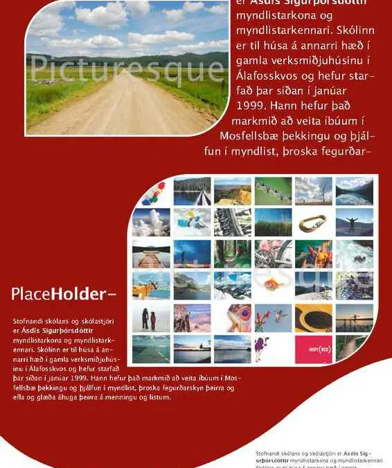 Red and White Professional Flyer