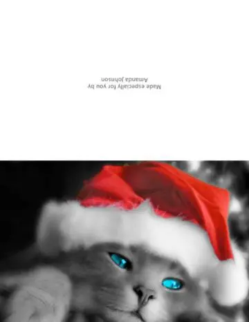 Set of 3 Folded Holiday Cards Cat