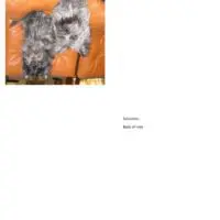 Simple Blank Notecards in 2 Orientations Simple Blank Notecards in 2 Orientations