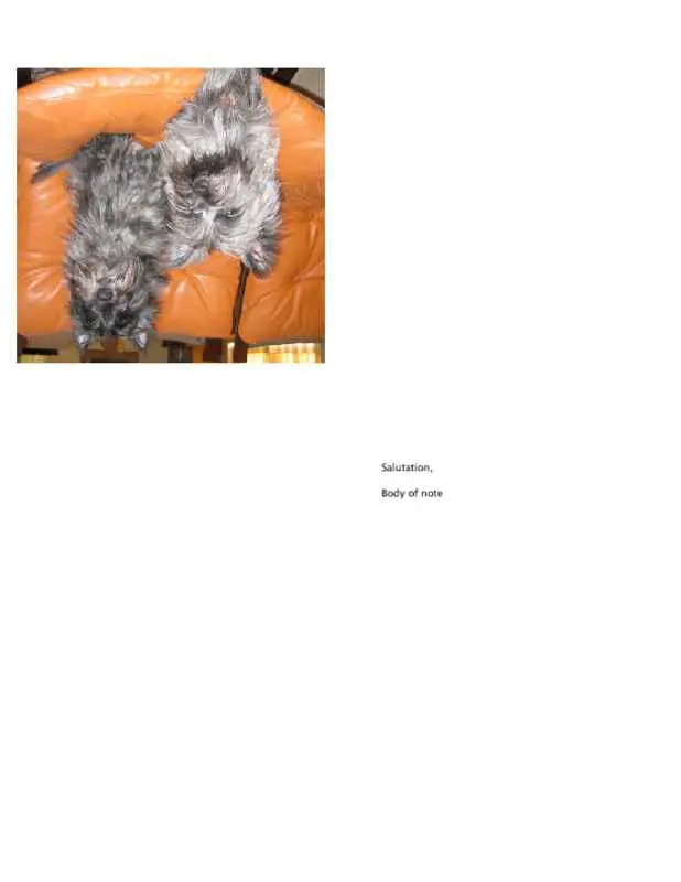 Simple Blank Notecards in 2 Orientations