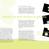 Spring Daisy Trifold Brochure Spring Daisy Trifold Brochure Inner