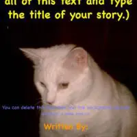 Storybook with Cover Pages and Copyright Storybook with Cover Pages and Copyright Cover One