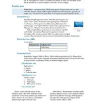 Technical Report in Blue Technical Report in Blue Inner Page