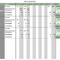 Weekly Detailed Grade Book Sample