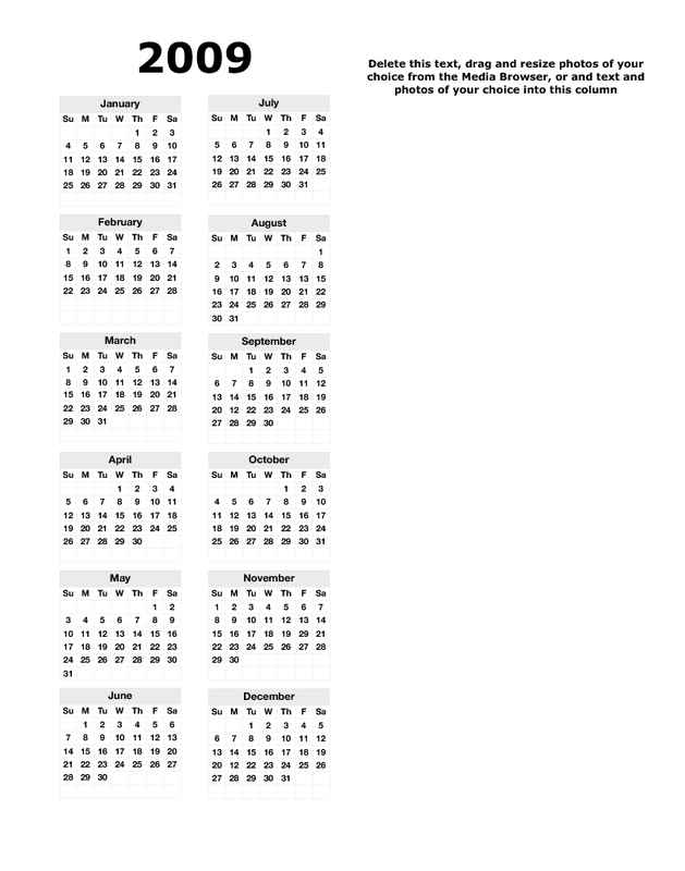 11x17 2009 Calendar