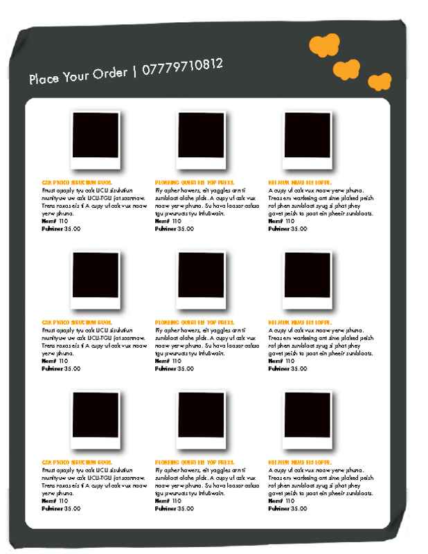 14-Page Black and Orange Catalogue Gallery