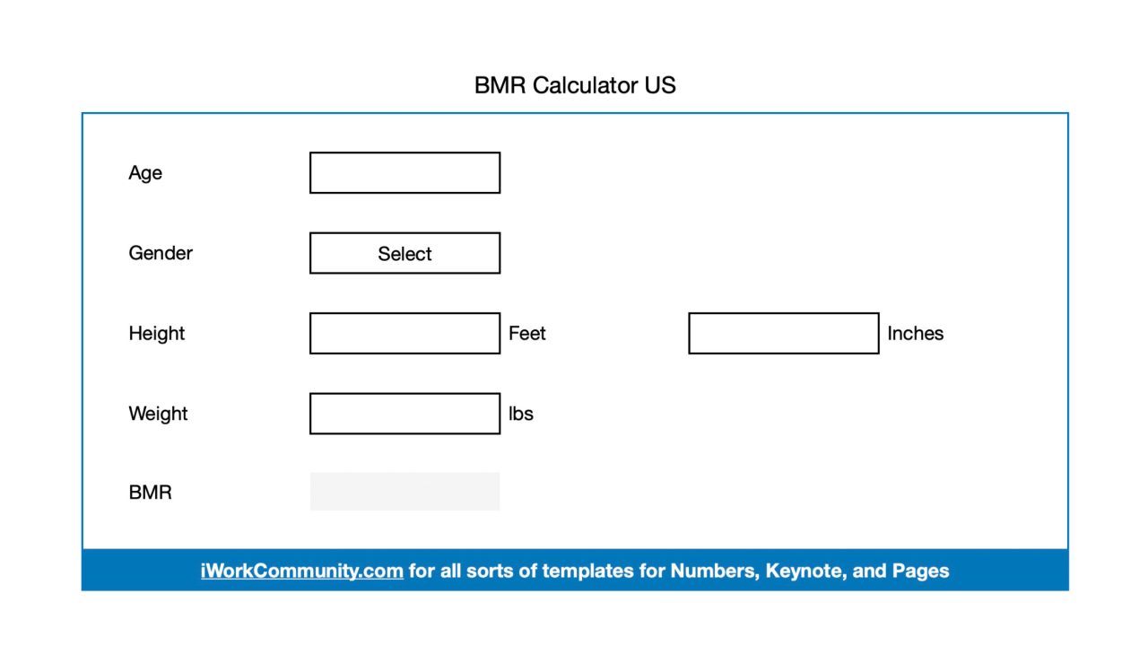 BMR Calculator for Numbers US, UK, Metric Measurements