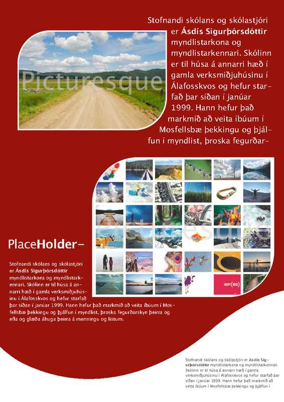 Red and White Professional Flyer