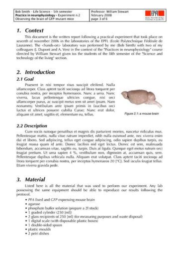 Scientific Lab Report Inner Page