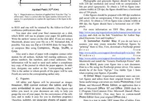 IEEE Guidelines Template for Transactions and Journals