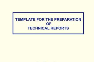 Modern Technical Report