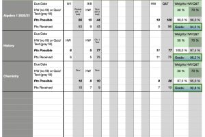 Weekly Detailed Grade Book for classroom- or home-based classes