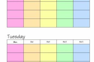 Color-Coded Weekly Family Planner