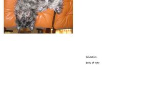 Simple Blank Notecards in 2 Orientations