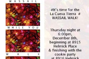 Christmas Lights Invitation