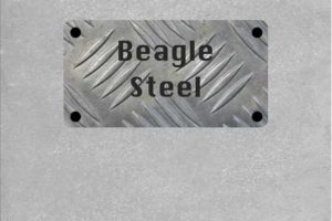 Gray Steel Poster