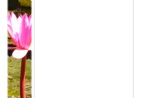 Water Lily Blank Stationery