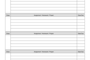 Weekly Homework Assignment Planner Pages