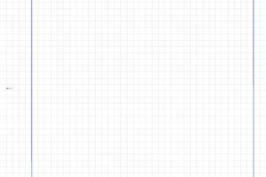 Blank Graphing Paper with Dual Margins
