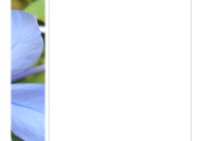 Blue Floral Photo Stationery